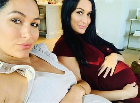 brie bella nude|Nikki, Brie Bella Go Completely Nude For Joint Maternity Shoot